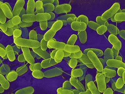 SORPRENDENTE COMBUSTIBLE MICROBIANO QUE IMPULSARÁ LAS MISIONES ESPACIALES