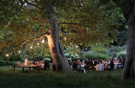 FairyTales lights wedings