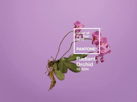 Radiant Orchid el pantone del 2014