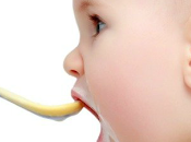 Alimentación Complementaria bebés