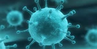 ¿Qué tomo para el resfriado?