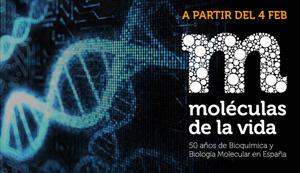 Expo temporal moléculas de la vida Sevilla 300x200