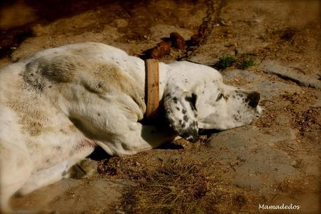 Cadena de retos: Igualdad