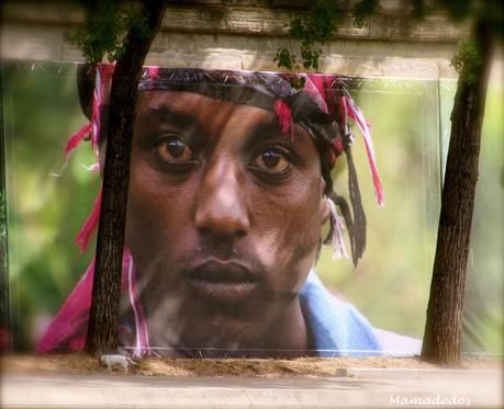 Cadena de retos: Igualdad