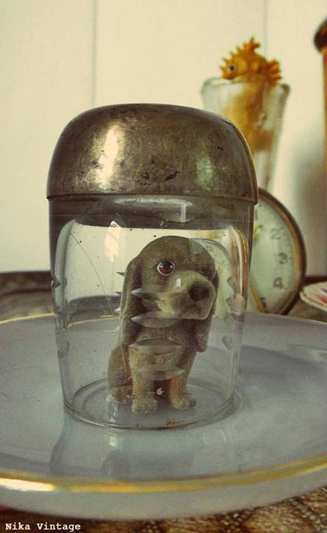 Diy ... fanales low cost para animalitos Diy ... fanales low cost para animalitos