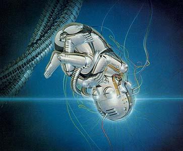 Neuromanagement: Cerebros y Mentes Digitales