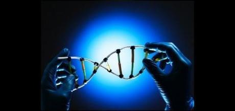 Neuromanagement: Cerebros y Mentes Digitales