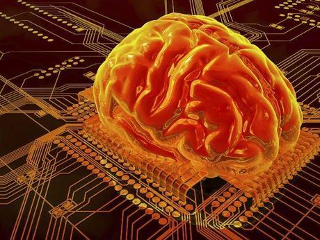 Neuromanagement: Cerebros y Mentes Digitales