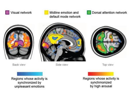 Neuromanagement, El Color de las Emociones