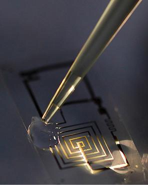 Los 5 Mejores Descubrimientos Científicos del 2013 Los 5 Mejores Descubrimientos Científicos del 2013