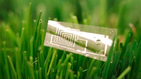 Los 5 Mejores Descubrimientos Científicos del 2013 Los 5 Mejores Descubrimientos Científicos del 2013