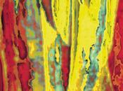 Sadies Internal Sounds (2013)