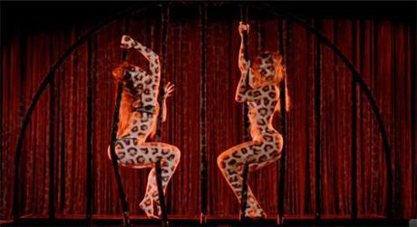 In this scene of the video Partition, two Beyoncé's dance sensually behind cage bars while completely covered in feline print. 