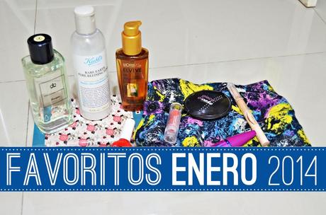 FAVORITOS ENERO 2014