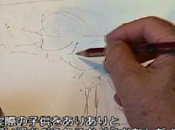 Miyazaki: problema Anime esta lleno Otakus"