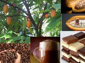 cacao peruano propiedades