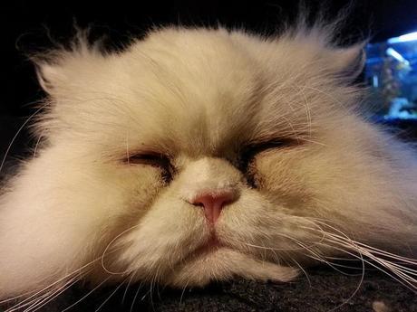 Androidografia Barakaldo 1618