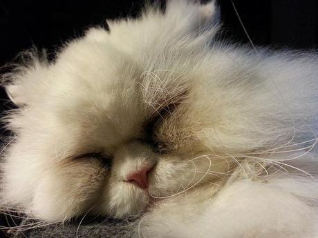 Androidografia Barakaldo 1616