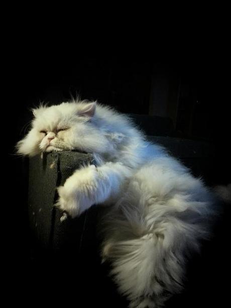 Androidografia Barakaldo 1615