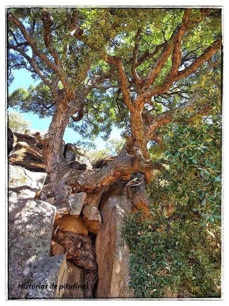 Sábado de sensaciones: Capturando instantes Sábado de sensaciones: Capturando instantes