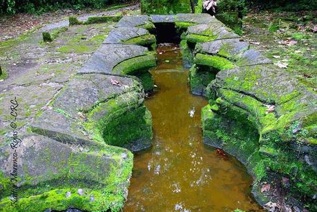 Refugio de Vida Silvestre La Marta -Sitio histórico- (Pejibaye de Jiménez de Cartago)