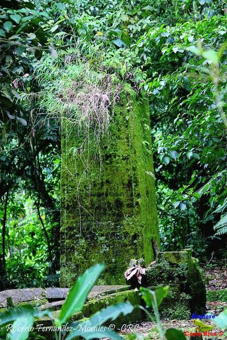 Refugio de Vida Silvestre La Marta -Sitio histórico- (Pejibaye de Jiménez de Cartago)