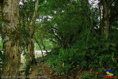 Refugio de Vida Silvestre La Marta -Sitio histórico- (Pejibaye de Jiménez de Cartago)