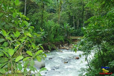 Refugio de Vida Silvestre La Marta -Sitio histórico- (Pejibaye de Jiménez de Cartago)