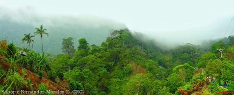 Refugio de Vida Silvestre La Marta -Sitio histórico- (Pejibaye de Jiménez de Cartago)