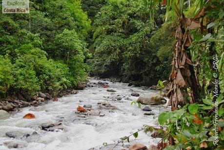 Refugio de Vida Silvestre La Marta -Sitio histórico- (Pejibaye de Jiménez de Cartago)