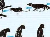 Darwin sigue entredicho