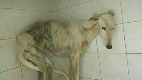 AQUÍ COMIENZA SU VIDA, LA DE MILES DE ELLOS, TERMINARÁ EN FEBRERO.