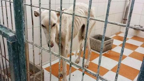 AQUÍ COMIENZA SU VIDA, LA DE MILES DE ELLOS, TERMINARÁ EN FEBRERO.