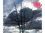 Reseña (22): Helado, Plums