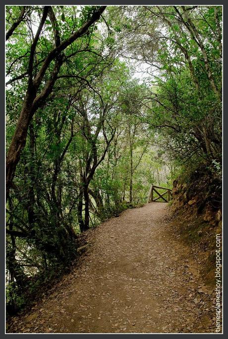 Ruta Rio Borosa - Cerrada Elías (Jaén)