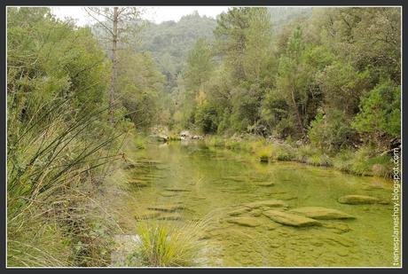 Ruta Rio Borosa - Cerrada Elías (Jaén)