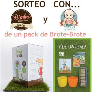 Sorteo en al Guía de Papás Novatos
