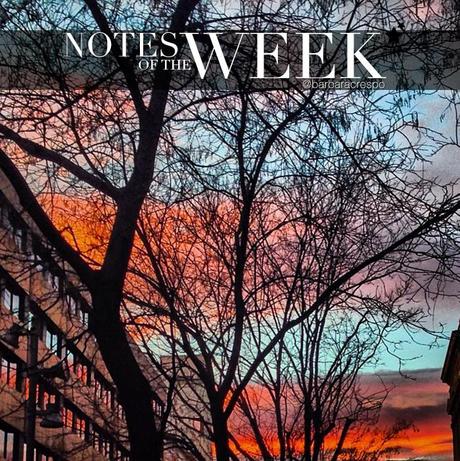 notes of the week barbara crespo tumblr social media instagram youtube instavideo