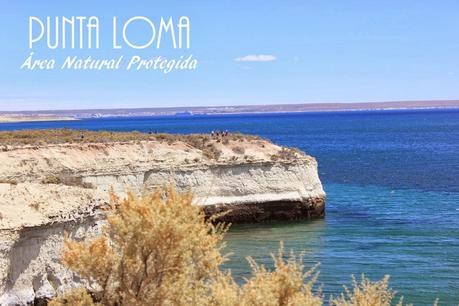 Tartaleta con Provolone, Cherrys y Cebollitas Caramelizados. El sabor de la patagonia (parte II).