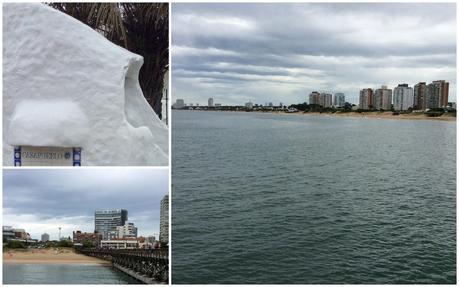 Tartaleta con Provolone, Cherrys y Cebollitas Caramelizados. El sabor de la patagonia (parte II).