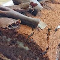 GRACIAS- TRONCO DE CHOCOLATE Y MASCARPONE