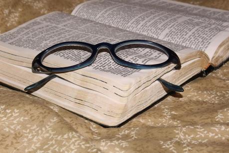 Perros de asistencia para personas con alzheimer o con demencia