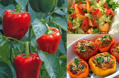 EL PIMIENTO Y SUS BENEFICIOS PARA LA SALUD