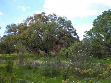 Colaboraciones de Extremadura, caminos de cultura: la Ermita de Santiago de Alburquerque en el Rincón de la Memoria de Canal Extremadura Radio