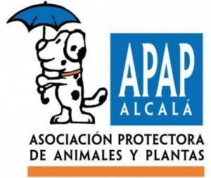 APAP 300x253 Sobre lealtad y otras causas perdidas, adoptando un perro. 