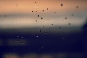 Distorsión cognitiva 3: Filtro mental DSC_0119