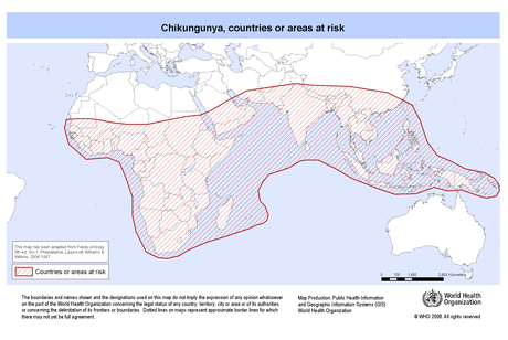 La Crisis Euro-asiática: Hasta los Virus Hacen las Américas