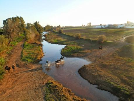 Galería fotográfica de la Fiesta de las Candelas