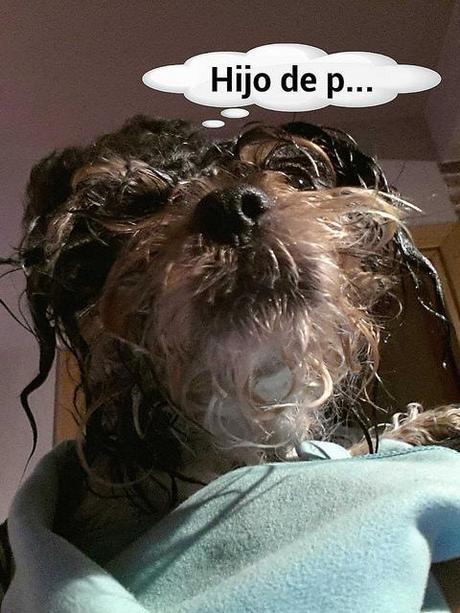 estamos tan agustito