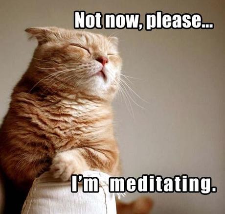 Meditación para la mente y el cuerpo